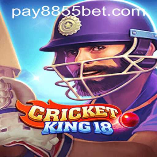 CricketKing18: A Dynamic Game Experience